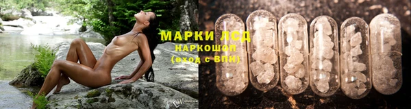 молекула духа Осинники